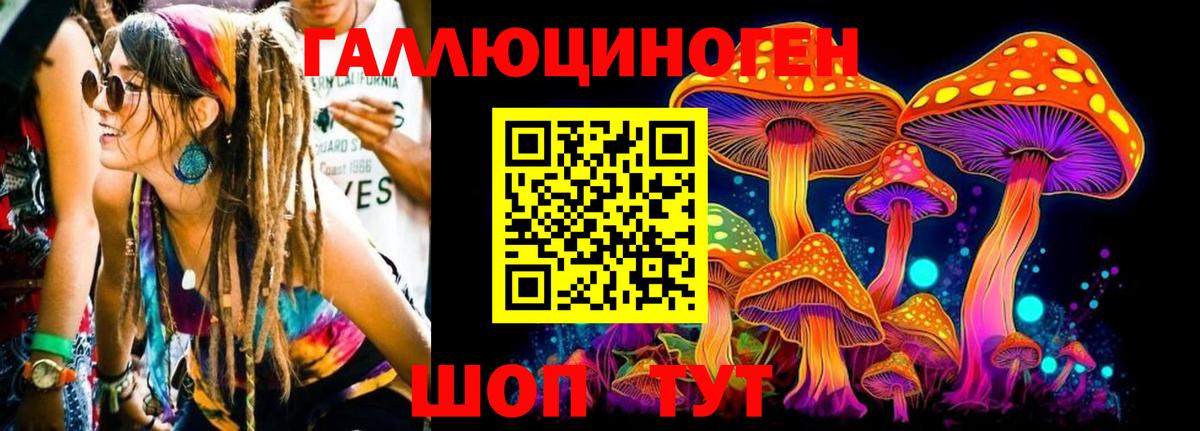 Псилоцибиновые грибы Cubensis  Вход с VPN  Электрогорск  Псилоцибиновые грибы мицелий 