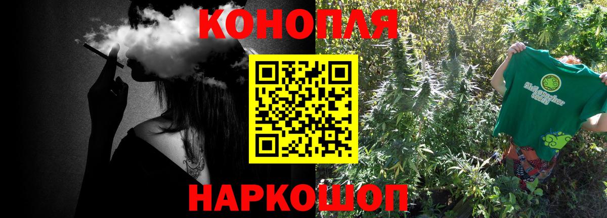 Бошки Шишки сатива  Вход с VPN  Электрогорск  Шишки марихуана планчик 